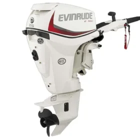 2018 Evinrude E-TEC 25 HP E25DTSL Outboard Motor